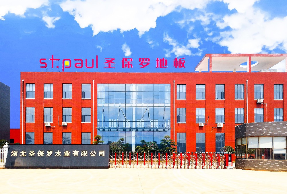 步履不停 樹(shù)立行業(yè)標(biāo)桿—圣保羅家居科技有限公司董事長(zhǎng)楊素文