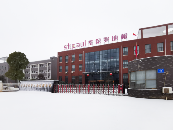 堅毅奮進(jìn) 鏟雪同行——湖北圣保羅木業(yè)風(fēng)雪中的擔(dān)當(dāng)