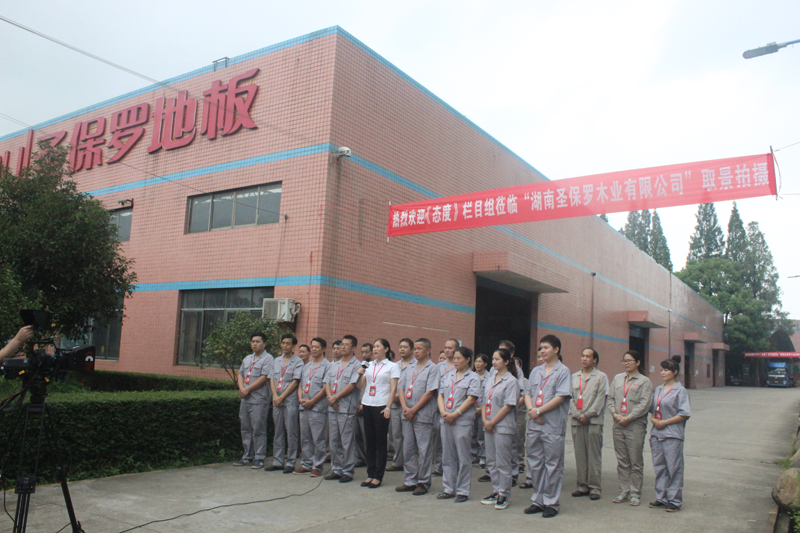 圣保羅木業(yè)榮膺木材深加工行業(yè)”中國民族品牌“稱號(hào)